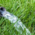 Does Your Lawn Need Watering? Here’s How To Tell