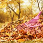 3 Benefits of Raking Leaves Off Your Lawn